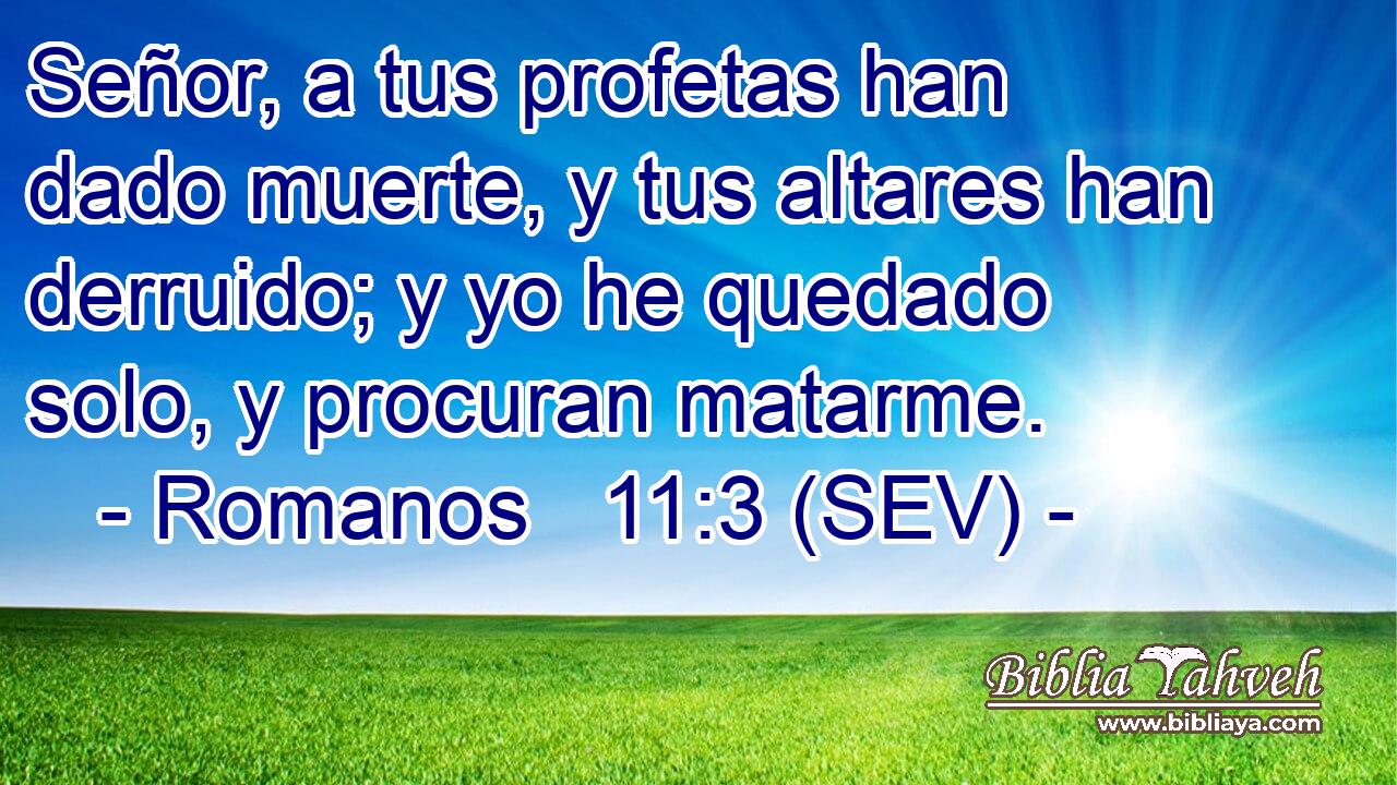 Señor, a tus profetas han dado muerte, y tus altares han derruido; y yo he quedado solo, y procuran matarme.