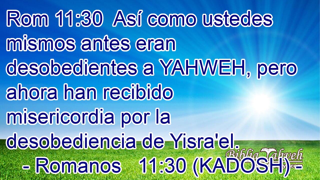  Así como ustedes mismos antes eran desobedientes a YAHWEH, pero ahora han recibido misericordia por la desobediencia de Yisra'el. 