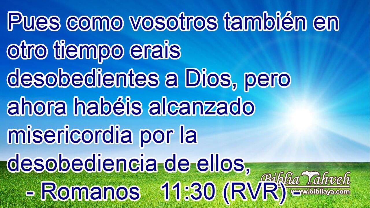 Pues como vosotros también en otro tiempo erais desobedientes a Dios, pero ahora habéis alcanzado misericordia por la desobediencia de ellos,