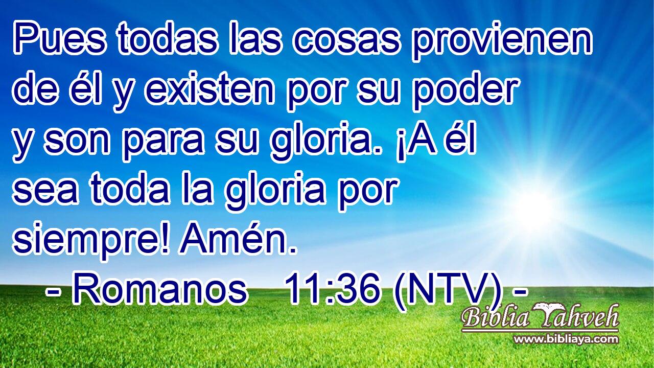 Pues todas las cosas provienen de él y existen por su poder y son para su gloria. ¡A él sea toda la gloria por siempre! Amén.