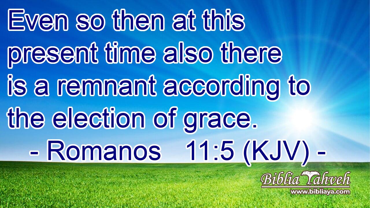Even so then at this present time also there is a remnant according to the election of grace.