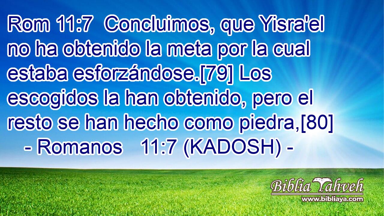  Concluimos, que Yisra'el no ha obtenido la meta por la cual estaba esforzándose.[79] Los escogidos la han obtenido, pero el resto se han hecho como piedra,[80] 