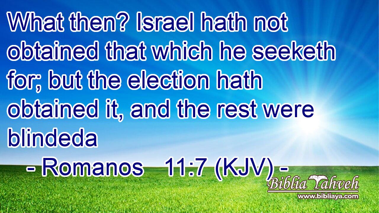 What then? Israel hath not obtained that which he seeketh for; but the election hath obtained it, and the rest were blindeda