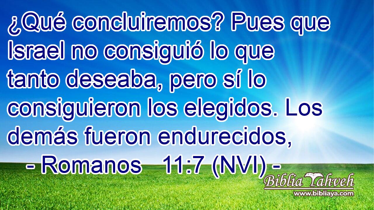  ¿Qué concluiremos? Pues que Israel no consiguió lo que tanto deseaba, pero sí lo consiguieron los elegidos. Los demás fueron endurecidos, 