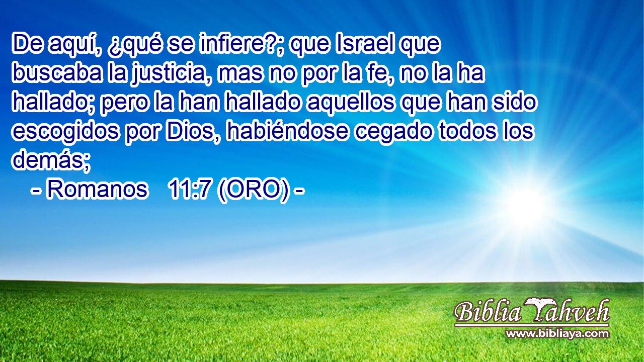  De aquí, ¿qué se infiere?; que Israel que buscaba la justicia, mas no por la fe, no la ha hallado; pero la han hallado aquellos que han sido escogidos por Dios, habiéndose cegado todos los demás; 
