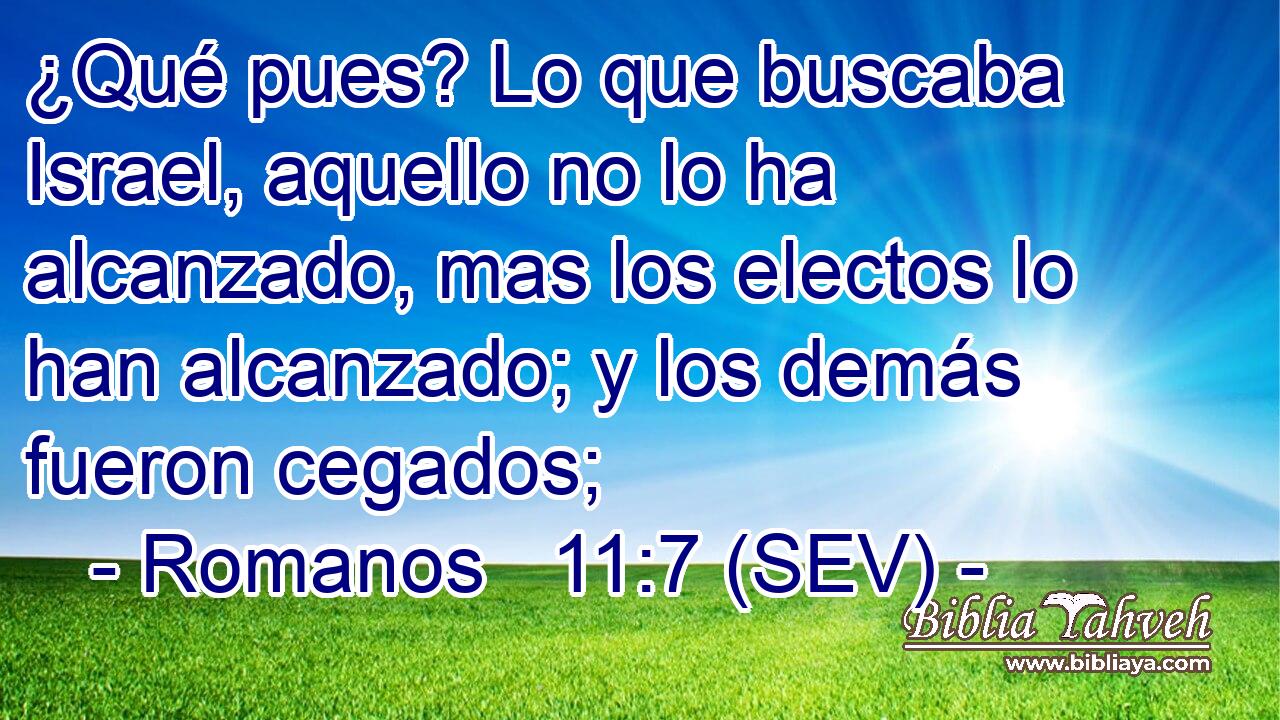 ¿Qué pues? Lo que buscaba Israel, aquello no lo ha alcanzado, mas los electos lo han alcanzado; y los demás fueron cegados;