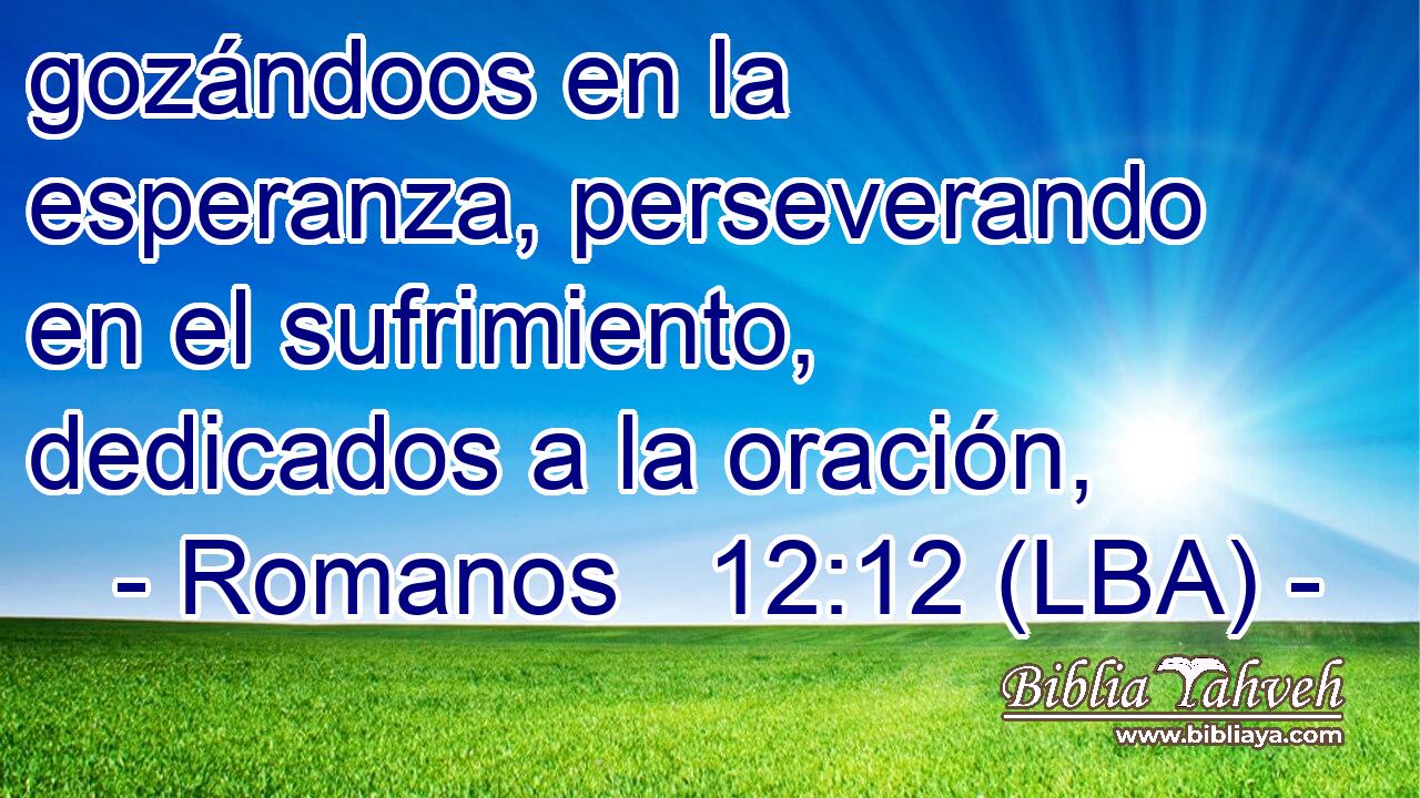 gozándoos en la esperanza, perseverando en el sufrimiento, dedicados a la oración,