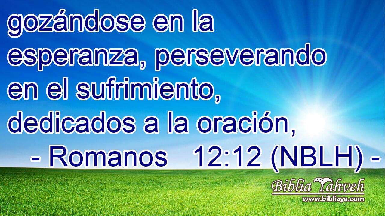  gozándose en la esperanza, perseverando en el sufrimiento, dedicados a la oración, 