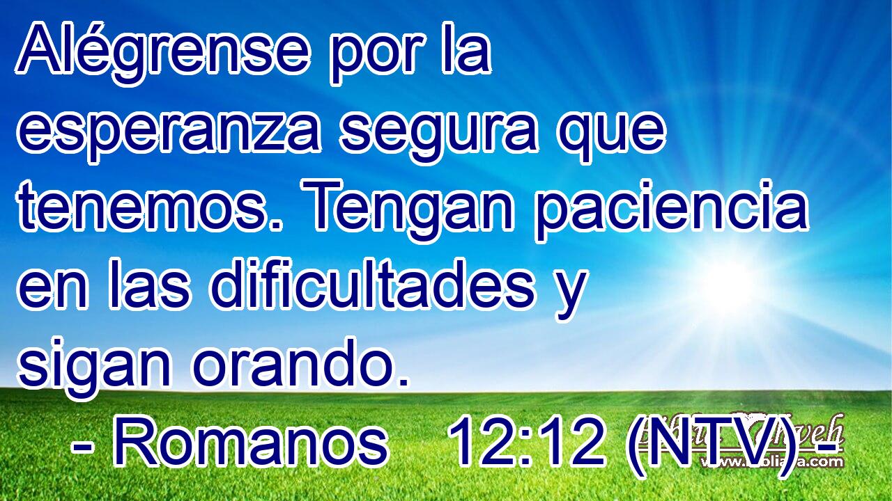 Alégrense por la esperanza segura que tenemos. Tengan paciencia en las dificultades y sigan orando.