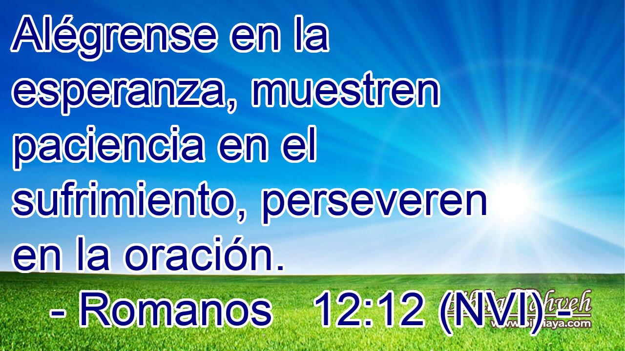  Alégrense en la esperanza, muestren paciencia en el sufrimiento, perseveren en la oración. 