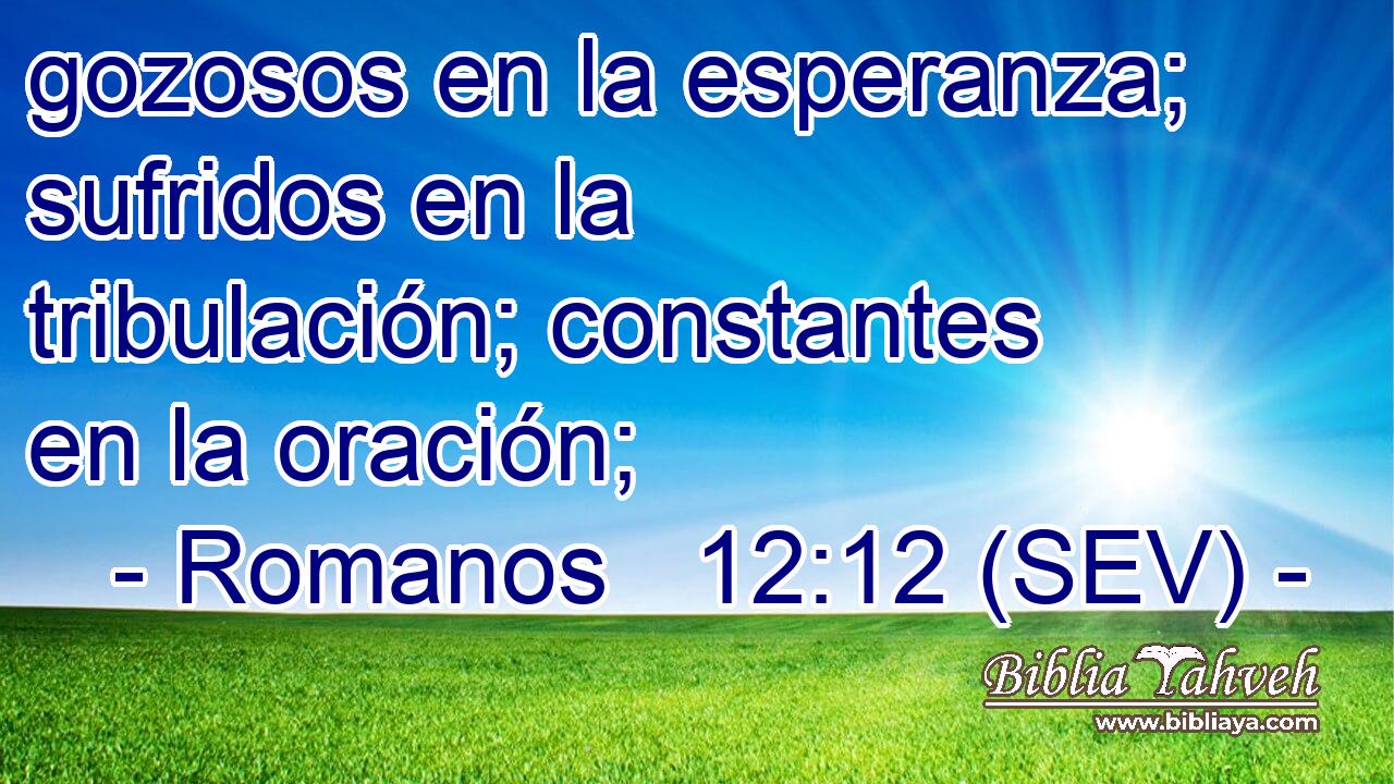 gozosos en la esperanza; sufridos en la tribulación; constantes en la oración;