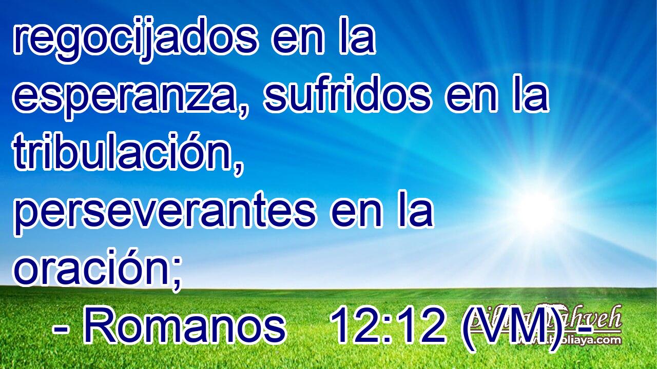  regocijados en la esperanza, sufridos en la tribulación, perseverantes en la oración; 