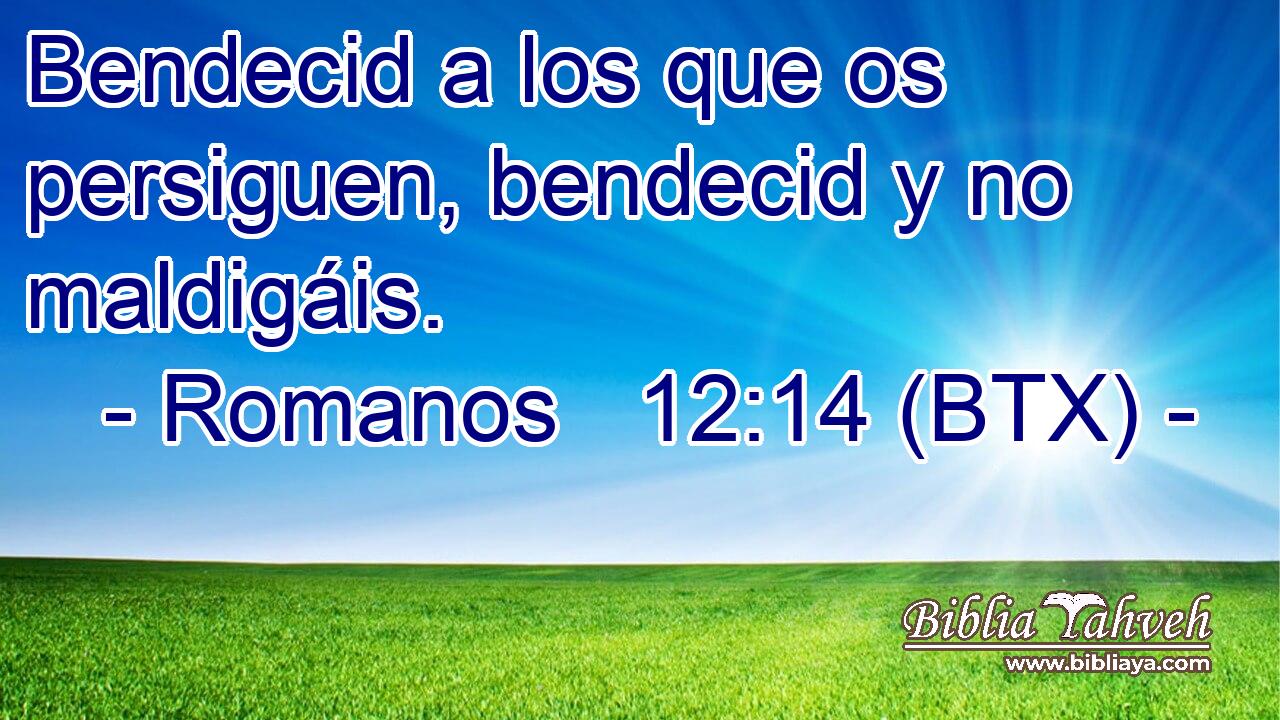 Bendecid a los que os persiguen, bendecid y no maldigáis.