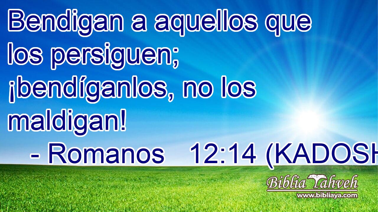  Bendigan a aquellos que los persiguen; ¡bendíganlos, no los maldigan! 