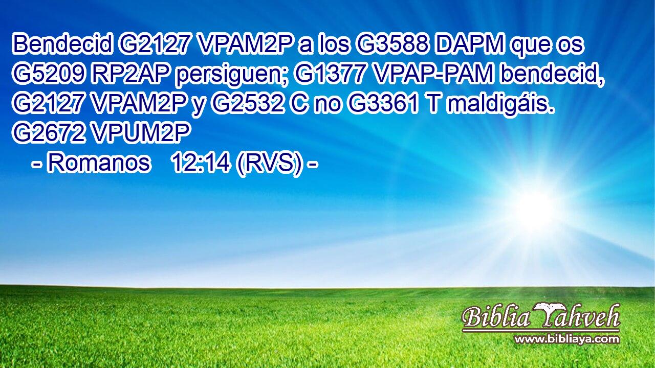 Bendecid G2127 VPAM2P a los G3588 DAPM que os G5209 RP2AP persiguen; G1377 VPAP-PAM bendecid, G2127 VPAM2P y G2532 C no G3361 T maldigáis. G2672 VPUM2P 