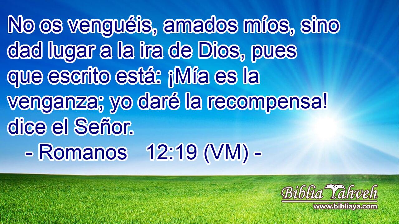 No os venguéis, amados míos, sino dad lugar a la ira de Dios, pues que escrito está: ¡Mía es la venganza; yo daré la recompensa! dice el Señor. 