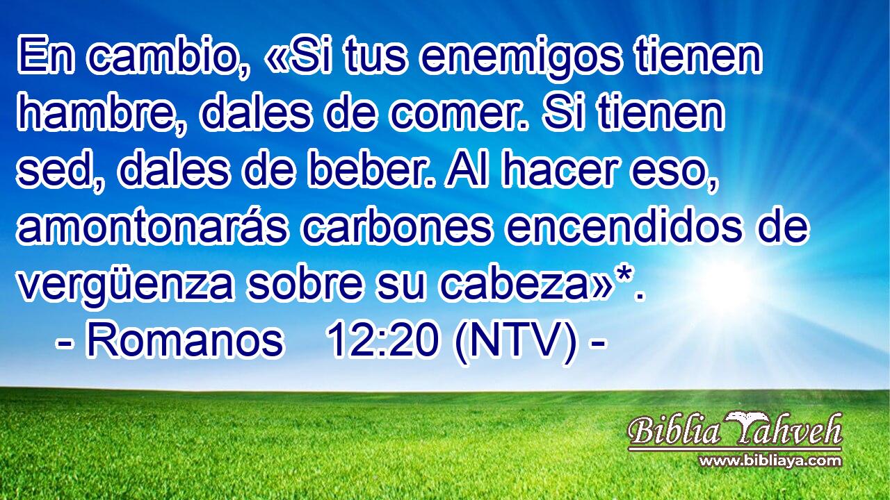 En cambio, «Si tus enemigos tienen hambre, dales de comer. Si tienen sed, dales de beber. Al hacer eso, amontonarás carbones encendidos de vergüenza sobre su cabeza»*.