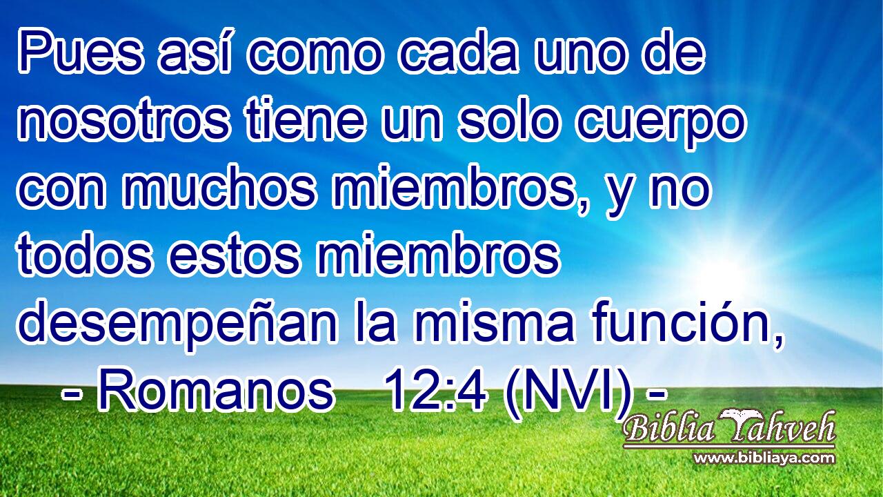  Pues así como cada uno de nosotros tiene un solo cuerpo con muchos miembros, y no todos estos miembros desempeñan la misma función, 