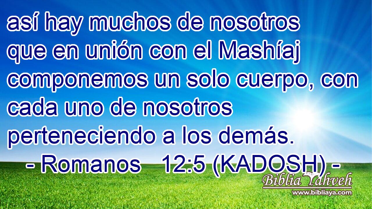  así hay muchos de nosotros que en unión con el Mashíaj componemos un solo cuerpo, con cada uno de nosotros perteneciendo a los demás. 