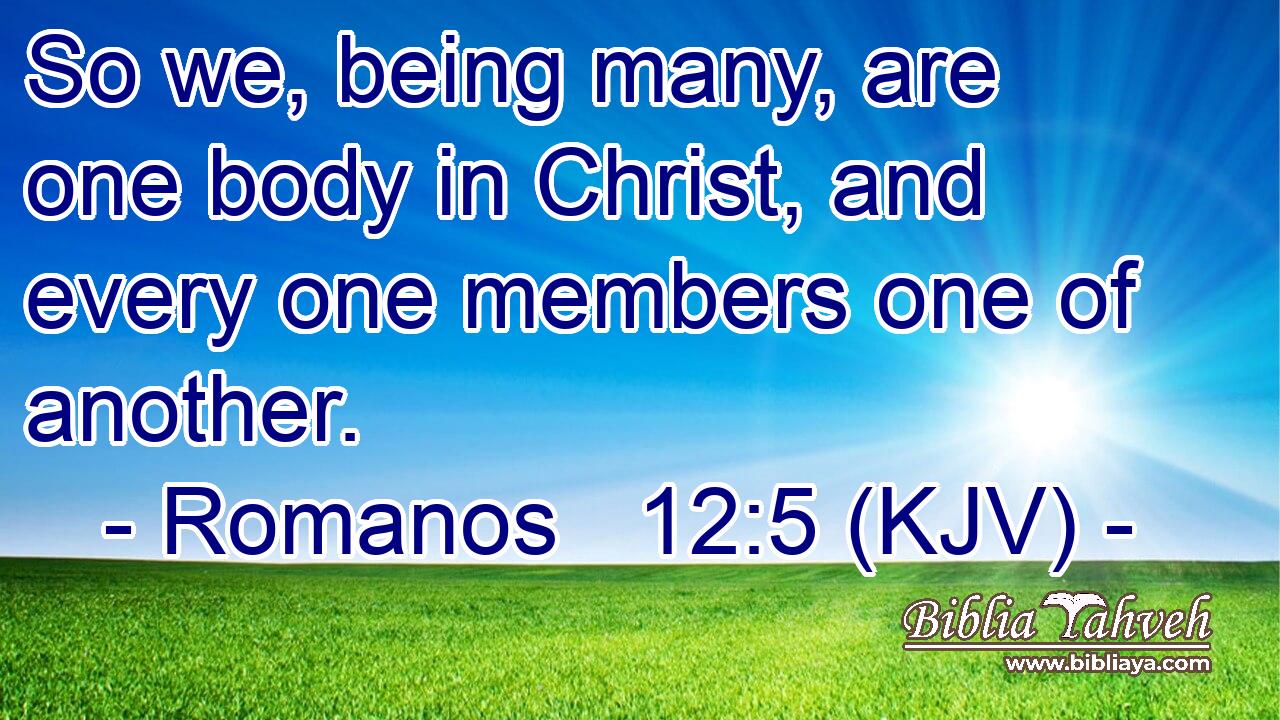 So we, being many, are one body in Christ, and every one members one of another.
