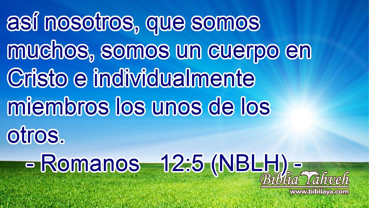  así nosotros, que somos muchos, somos un cuerpo en Cristo e individualmente miembros los unos de los otros. 