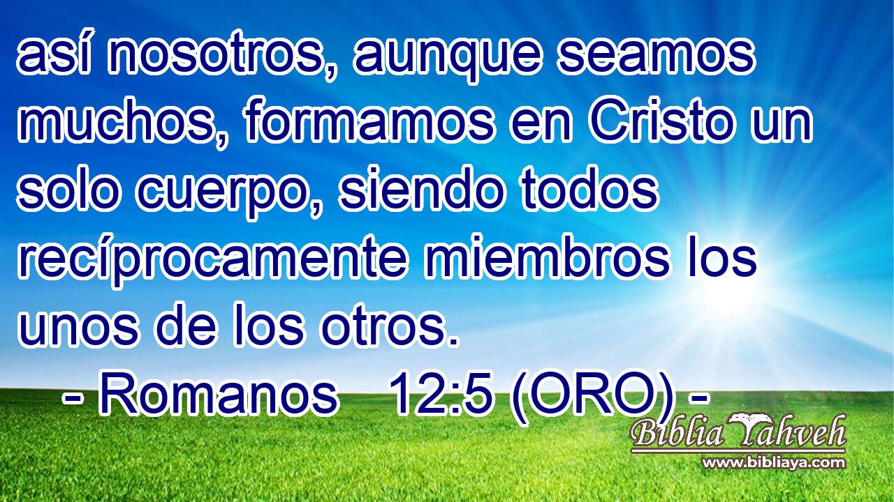 así nosotros, aunque seamos muchos, formamos en Cristo un solo cuerpo, siendo todos recíprocamente miembros los unos de los otros. 