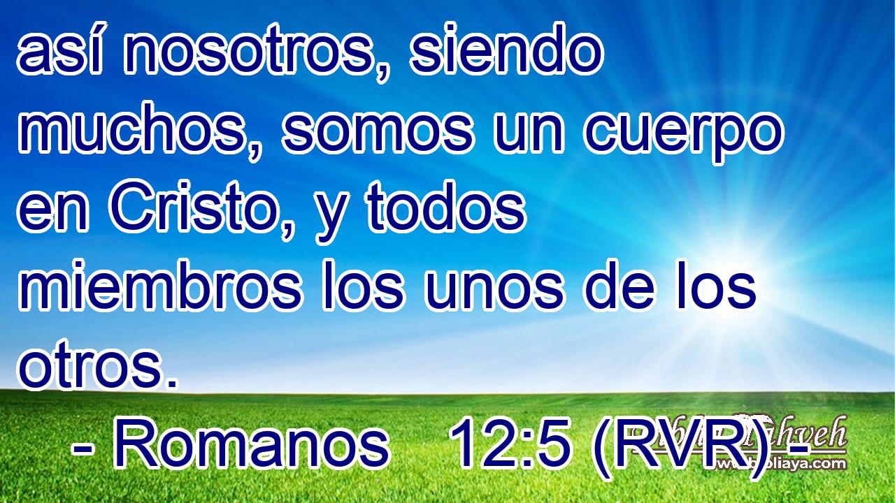 así nosotros, siendo muchos, somos un cuerpo en Cristo, y todos miembros los unos de los otros.