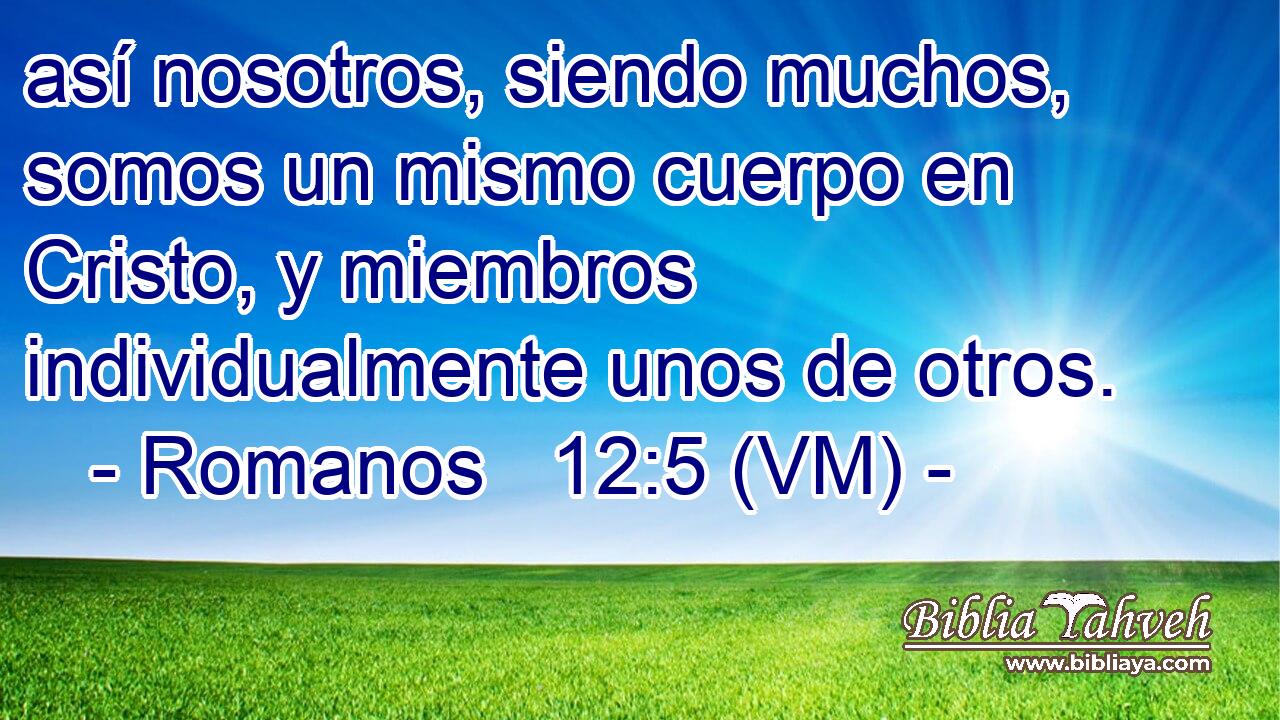 así nosotros, siendo muchos, somos un mismo cuerpo en Cristo, y miembros individualmente unos de otros. 