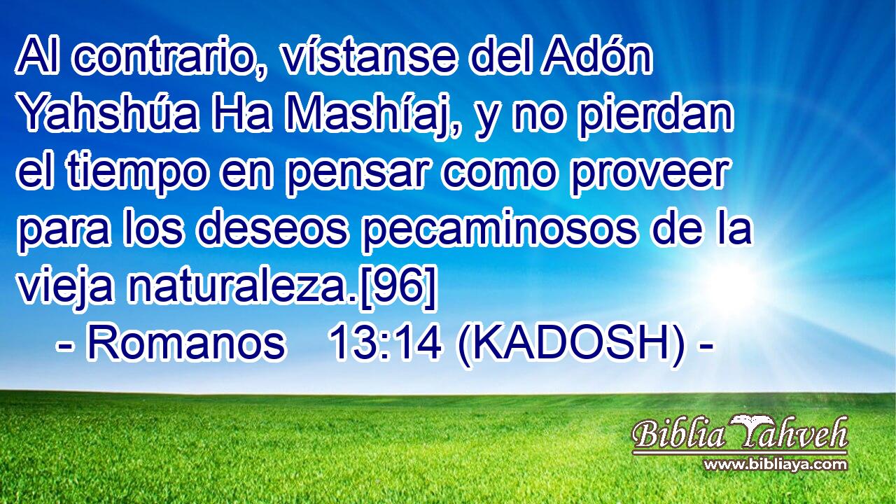  Al contrario, vístanse del Adón Yahshúa Ha Mashíaj, y no pierdan el tiempo en pensar como proveer para los deseos pecaminosos de la vieja naturaleza.[96] 