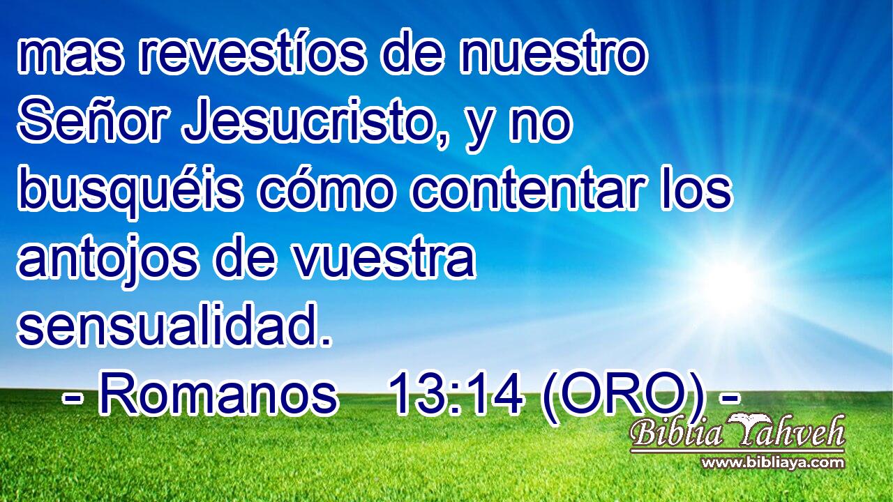  mas revestíos de nuestro Señor Jesucristo, y no busquéis cómo contentar los antojos de vuestra sensualidad. 