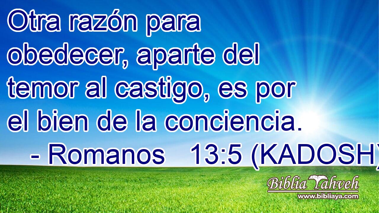  Otra razón para obedecer, aparte del temor al castigo, es por el bien de la conciencia. 