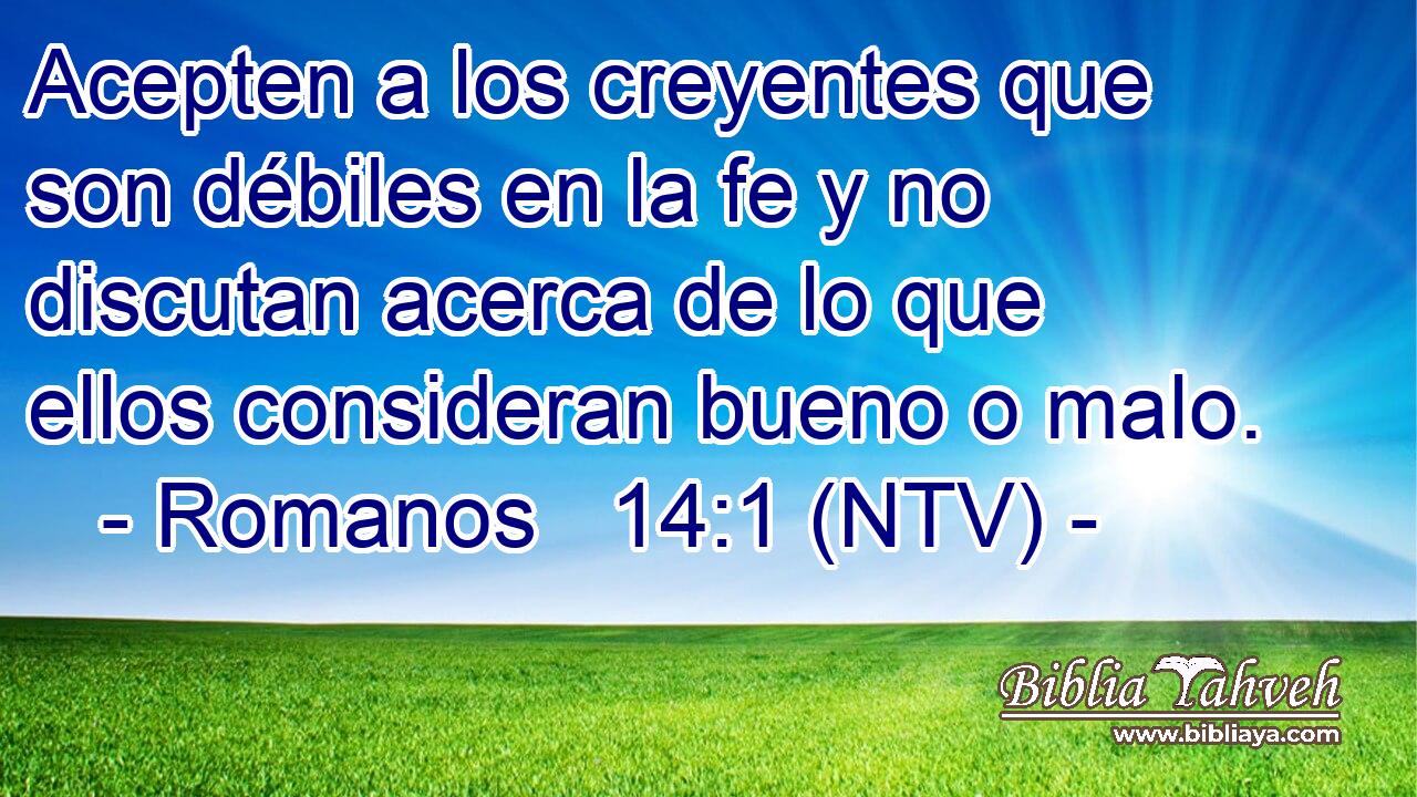 Acepten a los creyentes que son débiles en la fe y no discutan acerca de lo que ellos consideran bueno o malo.