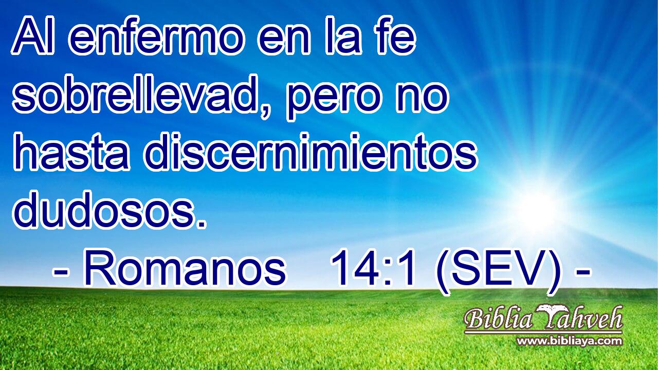 Al enfermo en la fe sobrellevad, pero no hasta discernimientos dudosos.