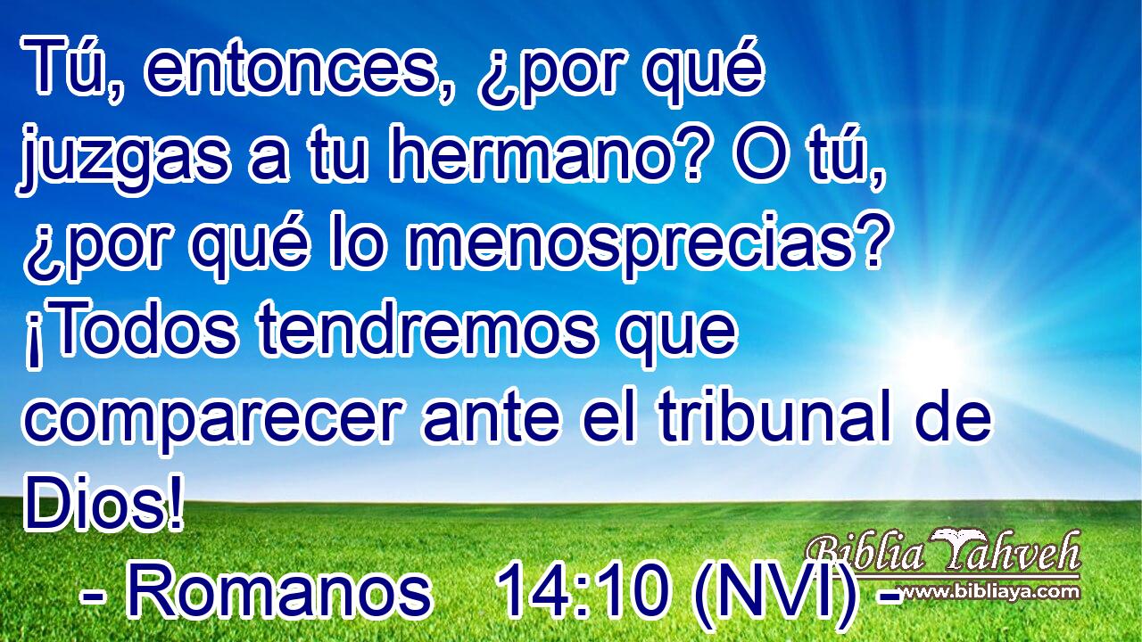  Tú, entonces, ¿por qué juzgas a tu hermano? O tú, ¿por qué lo menosprecias? ¡Todos tendremos que comparecer ante el tribunal de Dios! 