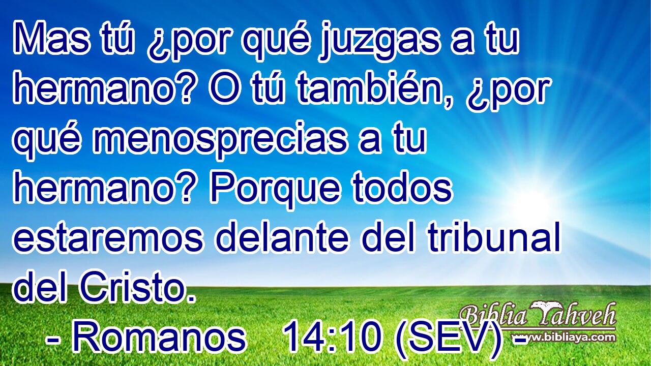 Mas tú ¿por qué juzgas a tu hermano? O tú también, ¿por qué menosprecias a tu hermano? Porque todos estaremos delante del tribunal del Cristo.