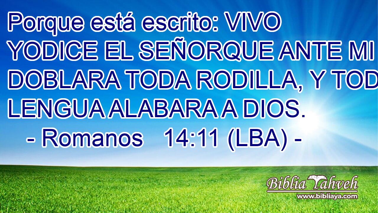 Porque está escrito: VIVO YODICE EL SEÑORQUE ANTE MI SE DOBLARA TODA RODILLA, Y TODA LENGUA ALABARA A DIOS.