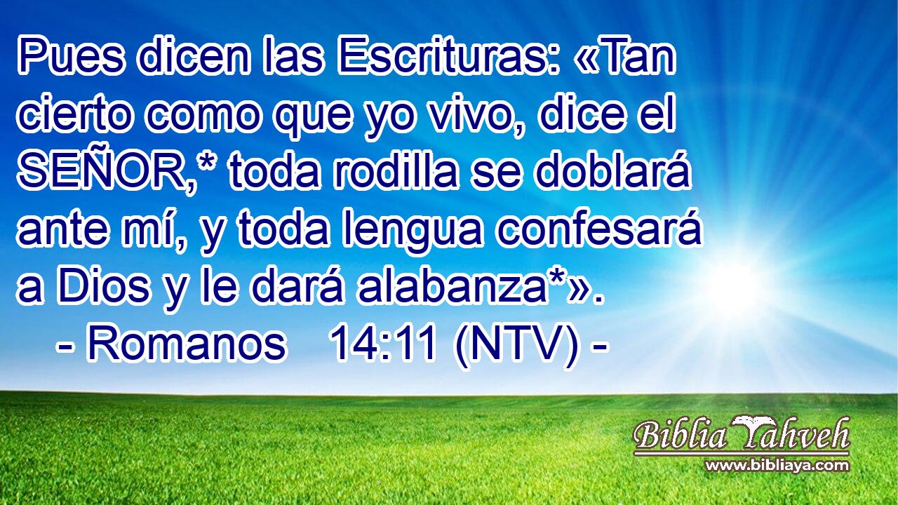 Pues dicen las Escrituras: «Tan cierto como que yo vivo, dice el SEÑOR,* toda rodilla se doblará ante mí, y toda lengua confesará a Dios y le dará alabanza*».
