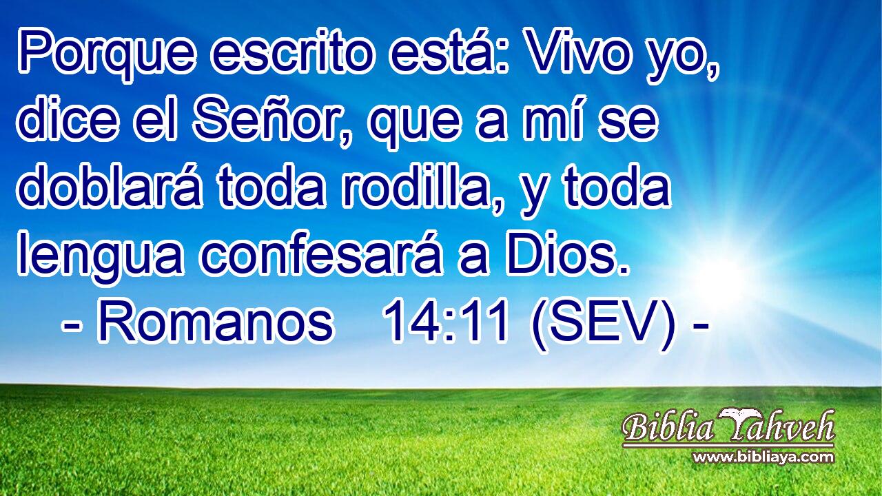 Porque escrito está: Vivo yo, dice el Señor, que a mí se doblará toda rodilla, y toda lengua confesará a Dios.
