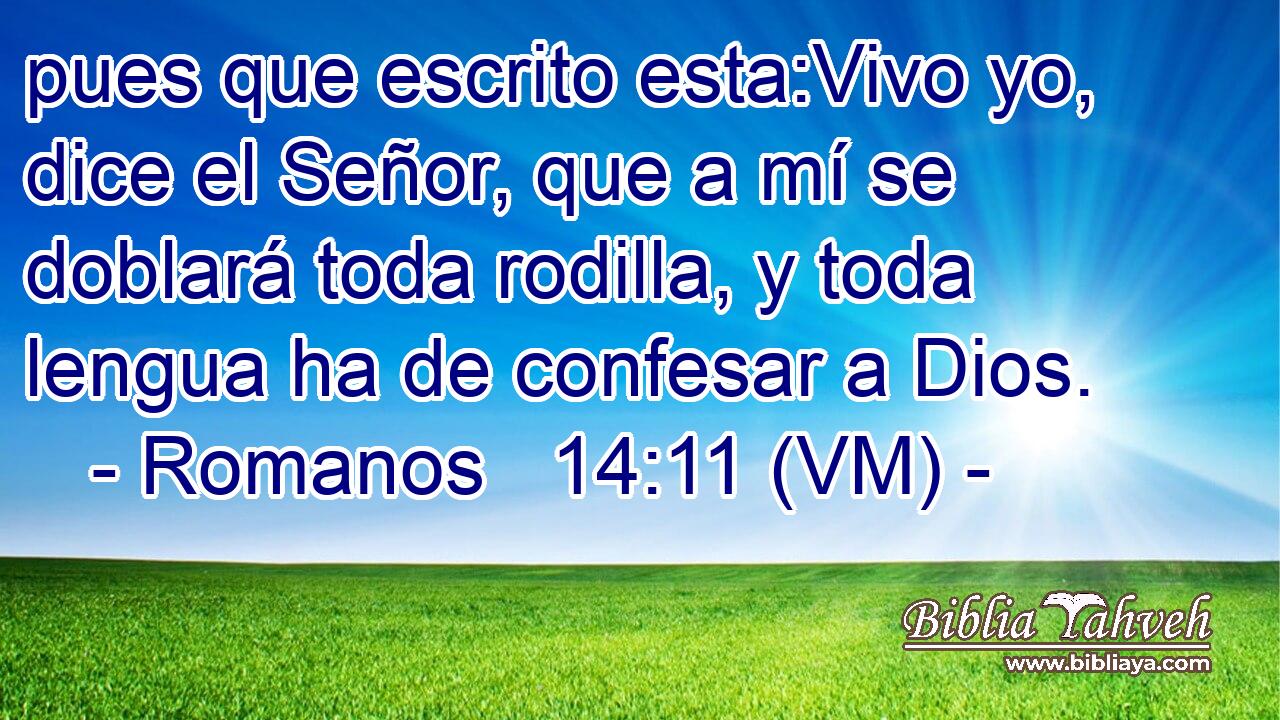  pues que escrito esta:Vivo yo, dice el Señor, que a mí se doblará toda rodilla, y toda lengua ha de confesar a Dios. 