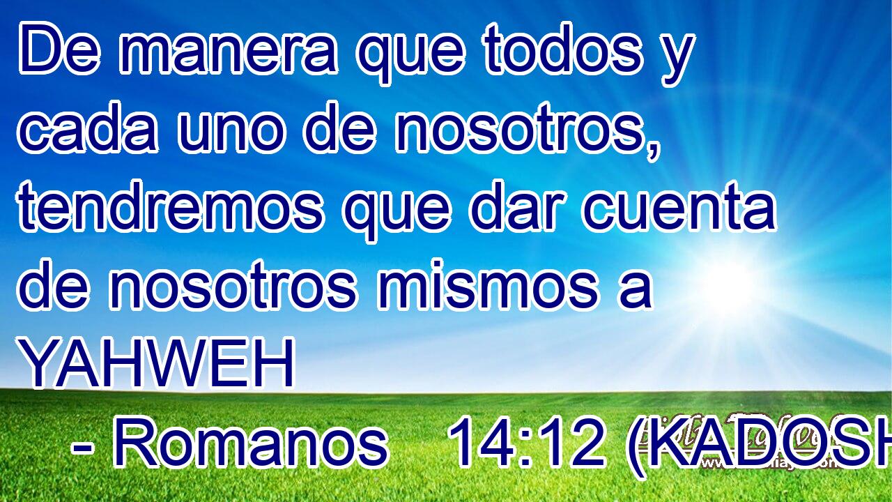  De manera que todos y cada uno de nosotros, tendremos que dar cuenta de nosotros mismos a YAHWEH 