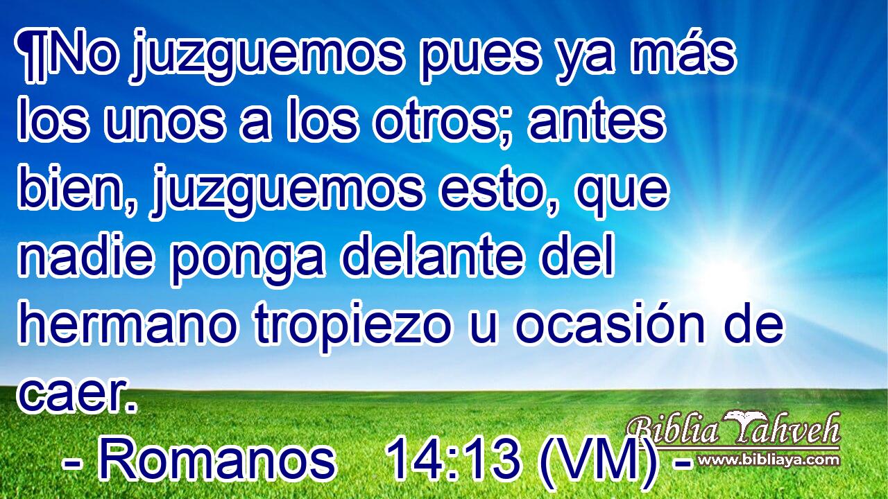  ¶No juzguemos pues ya más los unos a los otros; antes bien, juzguemos esto, que nadie ponga delante del hermano tropiezo u ocasión de caer. 