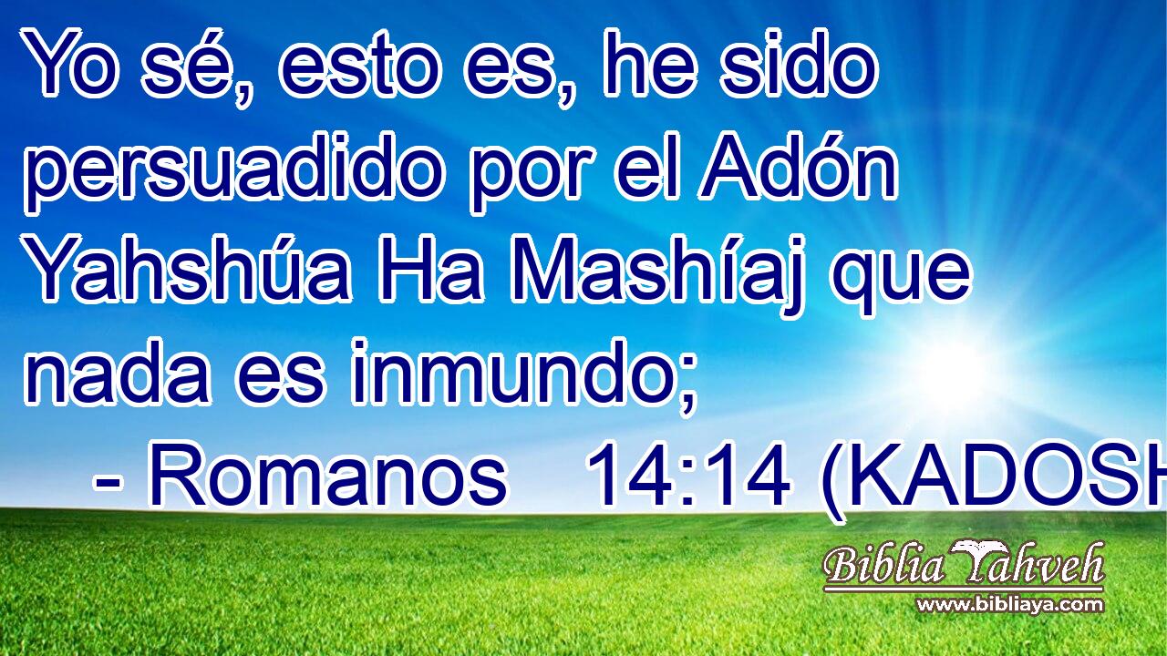  Yo sé, esto es, he sido persuadido por el Adón Yahshúa Ha Mashíaj que nada es inmundo; 