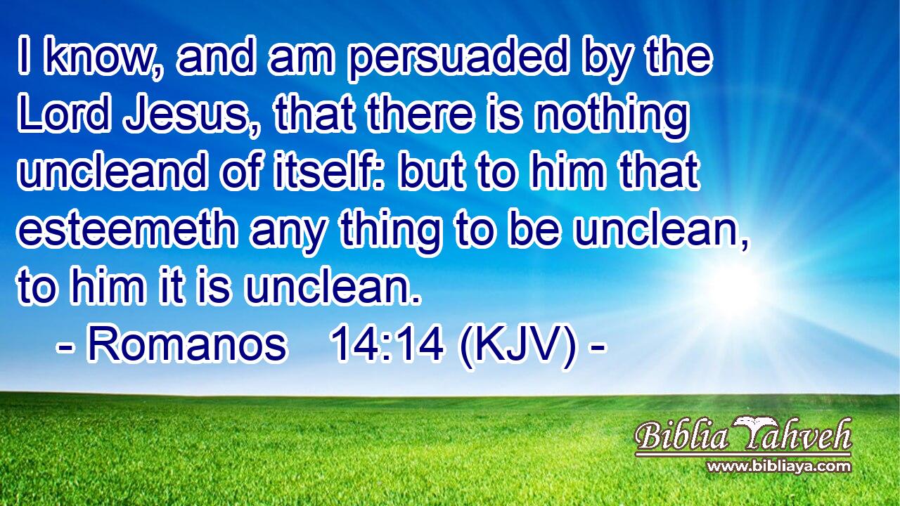 I know, and am persuaded by the Lord Jesus, that there is nothing uncleand of itself: but to him that esteemeth any thing to be unclean, to him it is unclean.