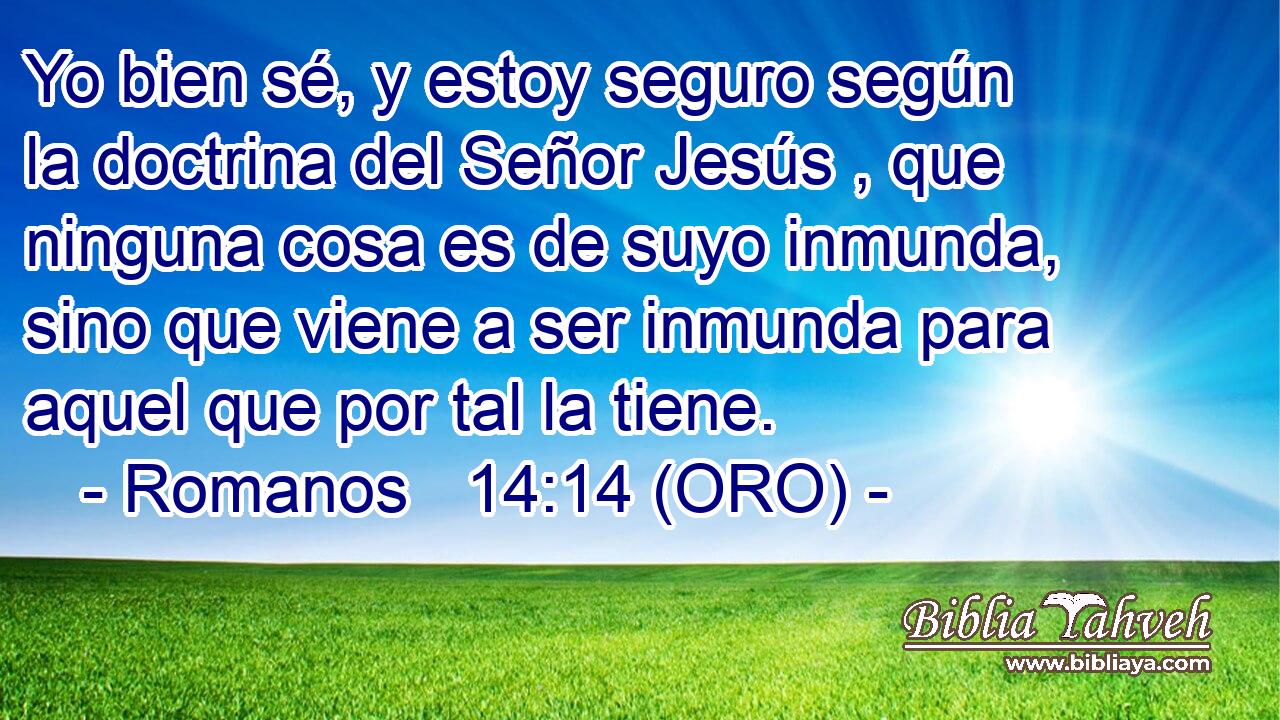  Yo bien sé, y estoy seguro según la doctrina del Señor Jesús , que ninguna cosa es de suyo inmunda, sino que viene a ser inmunda para aquel que por tal la tiene. 