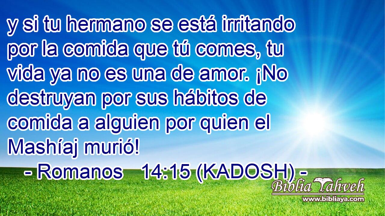  y si tu hermano se está irritando por la comida que tú comes, tu vida ya no es una de amor. ¡No destruyan por sus hábitos de comida a alguien por quien el Mashíaj murió! 