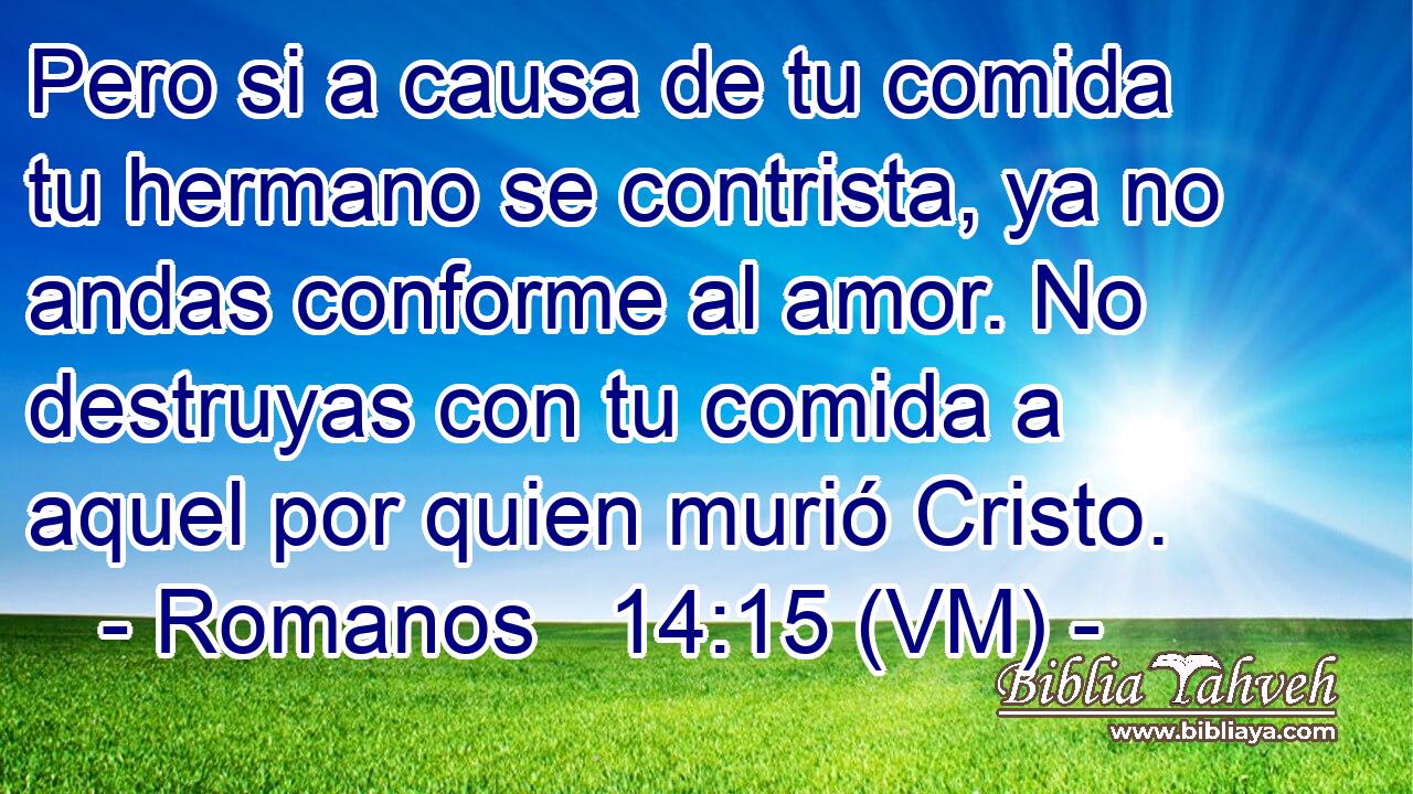  Pero si a causa de tu comida tu hermano se contrista, ya no andas conforme al amor. No destruyas con tu comida a aquel por quien murió Cristo. 