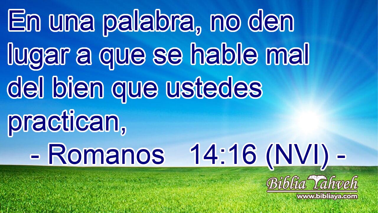  En una palabra, no den lugar a que se hable mal del bien que ustedes practican, 