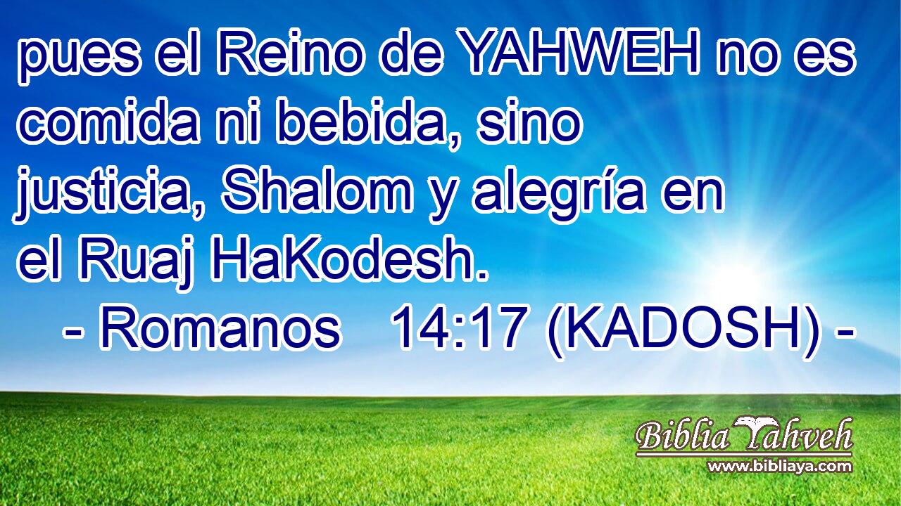  pues el Reino de YAHWEH no es comida ni bebida, sino justicia, Shalom y alegría en el Ruaj HaKodesh. 