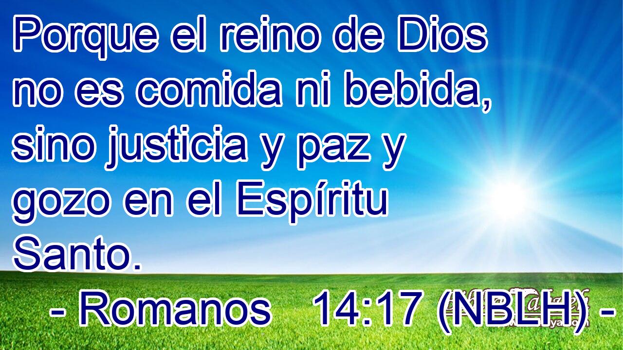  Porque el reino de Dios no es comida ni bebida, sino justicia y paz y gozo en el Espíritu Santo. 