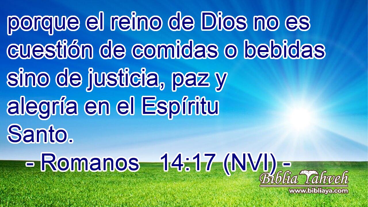  porque el reino de Dios no es cuestión de comidas o bebidas sino de justicia, paz y alegría en el Espíritu Santo. 